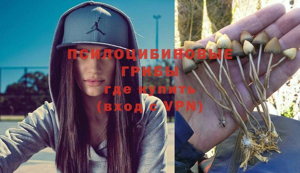 Альфа ПВП Балахна
