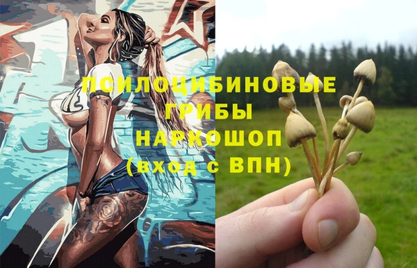 Альфа ПВП Балахна