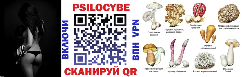 Купить закладки Похвистнево Псилоцибиновые грибы GOLDEN TEACHER